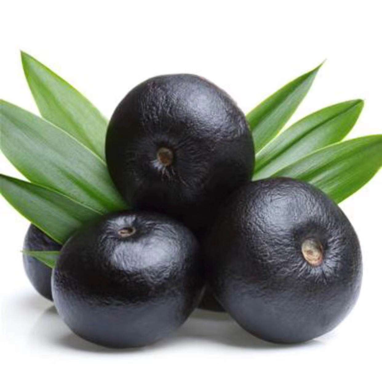 Suplemento dietético de acai berry