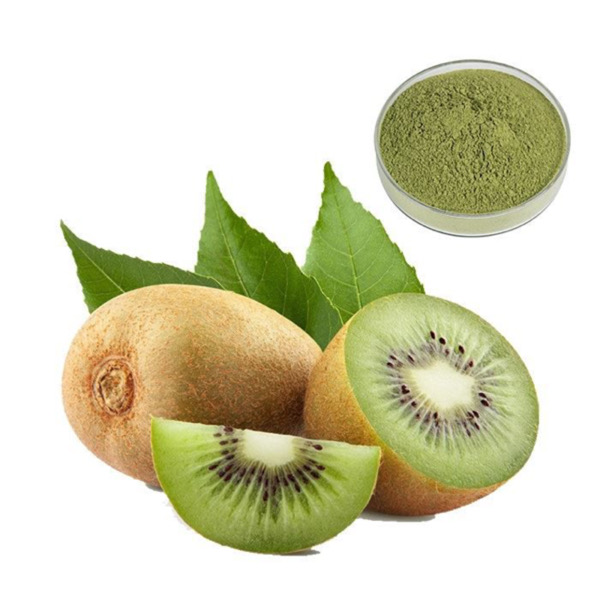 Extracto de fruta kiwi en polvo