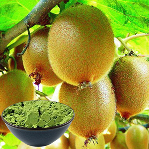 Polvo de fruta de kiwi
